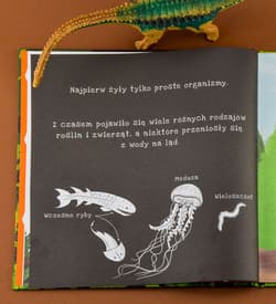 Galeria - zdjęcie nr. 4 - Dinozaury. Podświetl i Odkryj