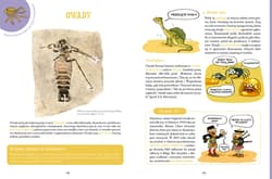 Galeria - zdjęcie nr. 2 - Dinozaury rządzą
