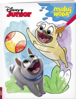 Disney Junior Maluj wodą MW-4