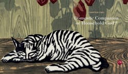 Galeria - zdjęcie nr. 3 - Divine Felines wer. angielska