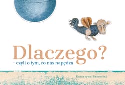 Dlaczego? – czyli o tym, co nas napędza - Katarzyna Samosiej