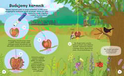 Galeria - zdjęcie nr. 2 - Dlaczego flamingi są różowe? Wiem wszystko o ptakach