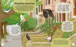 Galeria - zdjęcie nr. 3 - Dlaczego flamingi są różowe? Wiem wszystko o ptakach