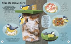 Galeria - zdjęcie nr. 4 - Dlaczego flamingi są różowe? Wiem wszystko o ptakach