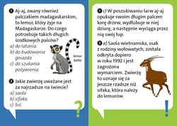 Galeria - zdjęcie nr. 2 - Dlaczego leniwiec jest leniwy? Odlotowe fakty o zwierzętach. Quiz przyrodniczy