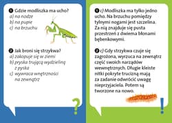 Galeria - zdjęcie nr. 3 - Dlaczego leniwiec jest leniwy? Odlotowe fakty o zwierzętach. Quiz przyrodniczy