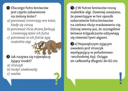 Galeria - zdjęcie nr. 4 - Dlaczego leniwiec jest leniwy? Odlotowe fakty o zwierzętach. Quiz przyrodniczy