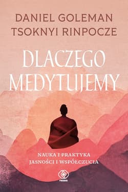 Dlaczego medytujemy - ebook - Daniel Goleman