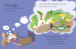 Galeria - zdjęcie nr. 2 - Dlaczego muszę spać?