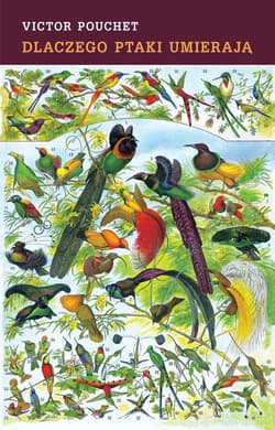 Dlaczego ptaki umierają - Victor Pouchet