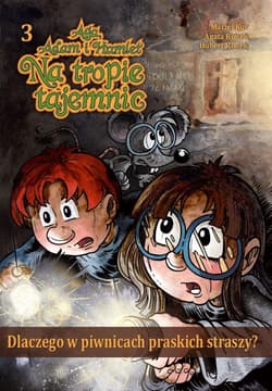 Dlaczego w piwnicach praskich straszy? - Ronek Agata, Kur Maciej, Łabuszewski Tomasz, Ronek Hubert