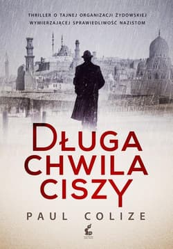 Długa chwila ciszy - Paul Colize