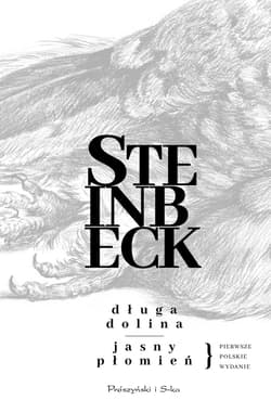 Długa dolina. Jasny płomień - John Steinbeck