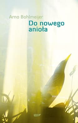 Do nowego anioła - Arno Bohlmeijer