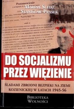 Do socjalizmu przez więzienie