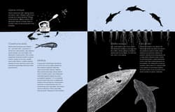 Galeria - zdjęcie nr. 4 - Doba na oceanie Jak przepłynąć Atlantyk kajakiem