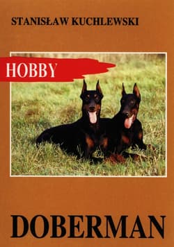 Doberman