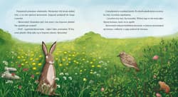 Galeria - zdjęcie nr. 2 - Dobranocki. Na łące