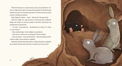 Galeria - zdjęcie nr. 3 - Dobranocki. Na łące