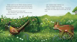 Galeria - zdjęcie nr. 4 - Dobranocki. Na łące