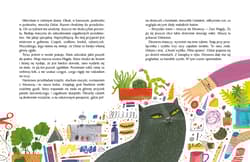 Galeria - zdjęcie nr. 2 - Dobranocki na pogodę i niepogodę