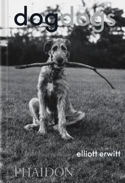DogDogs wer. angielska - Elliott Erwitt