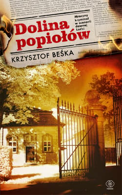 Dolina popiołów - ebook - Krzysztof Beśka