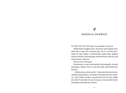 Galeria - zdjęcie nr. 3 - Dom masek