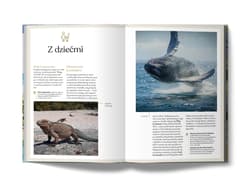 Galeria - zdjęcie nr. 2 - Dominikana