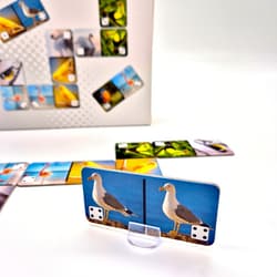 Galeria - zdjęcie nr. 2 - DOMINO PTAKI SILVEr