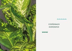 Galeria - zdjęcie nr. 5 - Domowe królestwo roślin