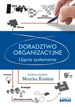 Doradztwo organizacyjne Ujęcie systemowe