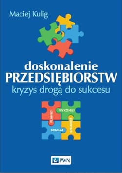 Doskonalenie przedsiębiorstw.Kryzys drogą do sukcesu - Maciej Kulig