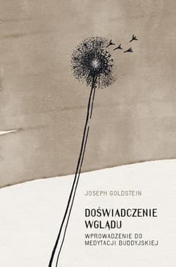 Doświadczenie wglądu - Joseph Goldstein