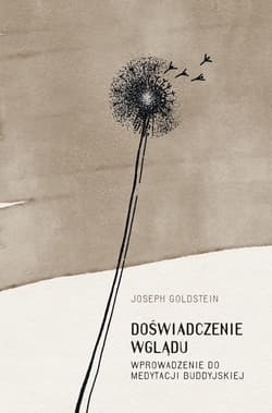 Doświadczenie wglądu - Joseph Goldstein