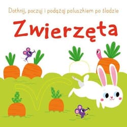 Dotknij, poczuj i podążaj po śladzie Zwierzęta