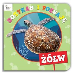 Dotykam i poznaję Żółw