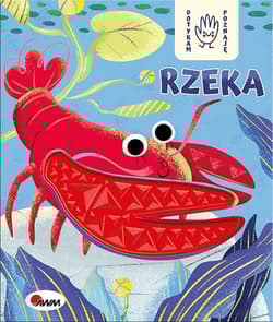 Dotykam poznaję Rzeka - Wiśniewska Joanna