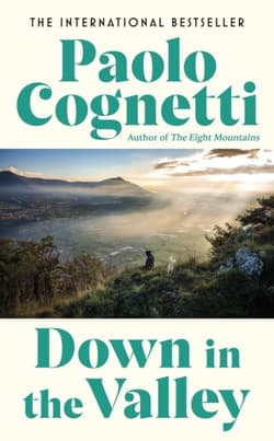 Down in the Valley wer. angielska - Paolo Cognetti