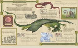 Galeria - zdjęcie nr. 2 - Dragonology: New 20th Anniversary Edition