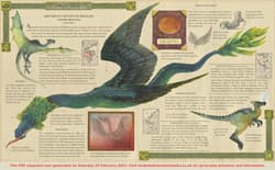 Galeria - zdjęcie nr. 3 - Dragonology: New 20th Anniversary Edition