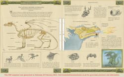 Galeria - zdjęcie nr. 5 - Dragonology: New 20th Anniversary Edition