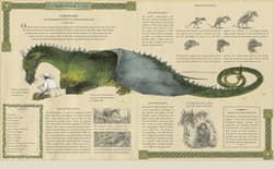 Galeria - zdjęcie nr. 2 - Dragonology: New 20th Anniversary Edition