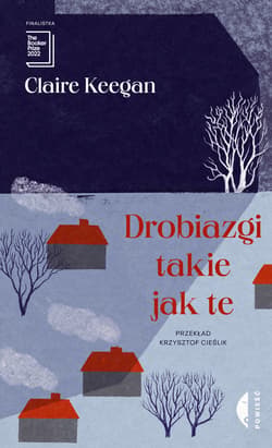 Drobiazgi takie jak te - ebook - Claire Keegan
