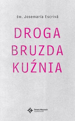 Droga Bruzda Kuźnia