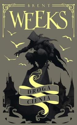 Droga Cienia. Trylogia Anioła Nocy. Tom 1 - Brent Weeks