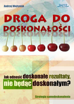 Droga do doskonałości - ebook - Andrzej Wojtyniak