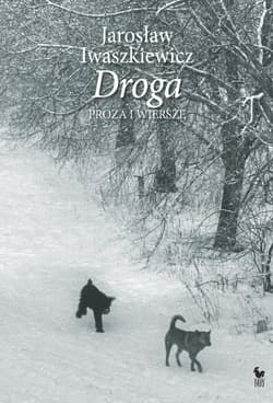 Droga - ebook