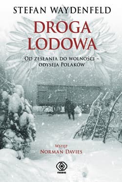 Droga lodowa - ebook
