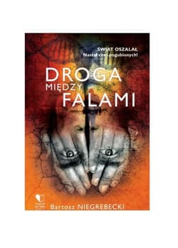 Droga między falami - Bartosz Niegrebecki
